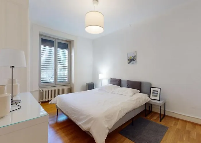 Very Nice Apartment In Les Paquis Close To The Famous Jet D\'Eau